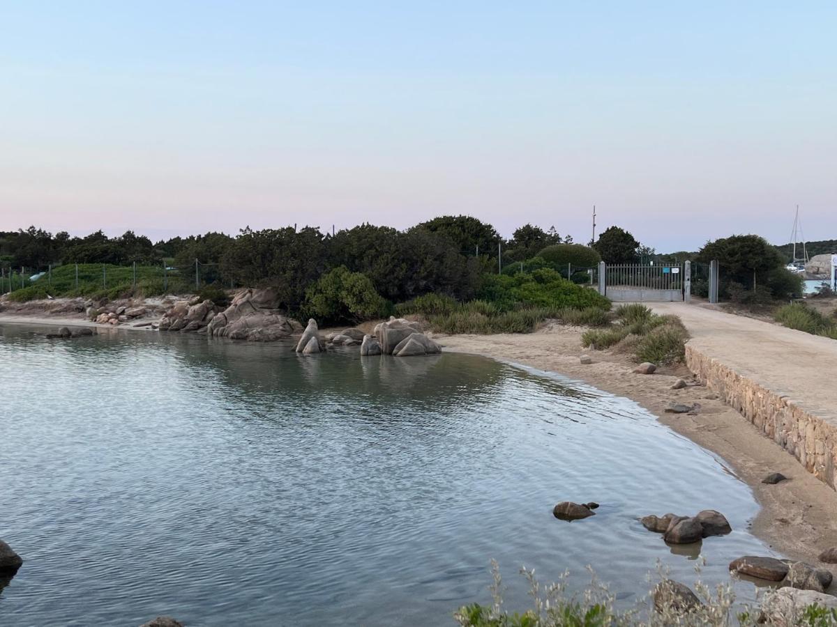 마리넬라 Casa Sibilla Bi-Locale Con Terrazza A 60 Metri Dal Mare 아파트 외부 사진